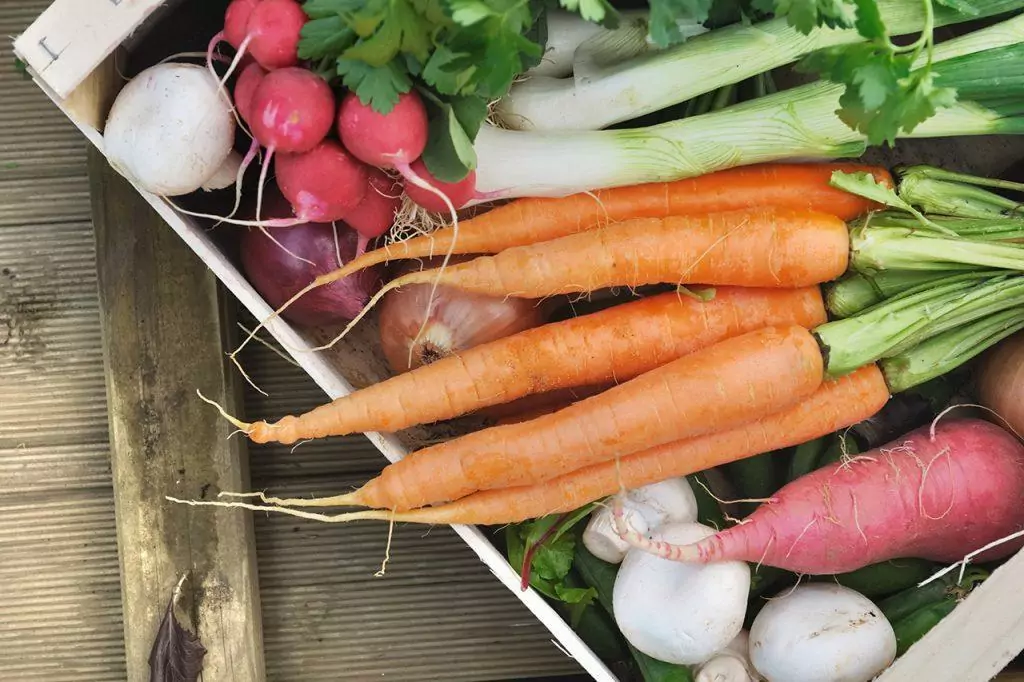 carottes, oignons, radis dans cagette en bois bois