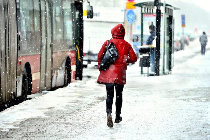 Réseau de bus : plan hivernal disponible